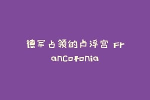 德军占领的卢浮宫 Francofonia