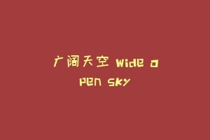 广阔天空 Wide Open Sky