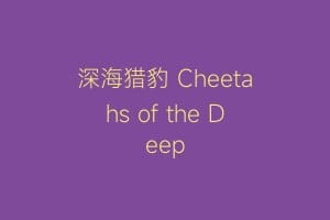 深海猎豹 Cheetahs of the Deep