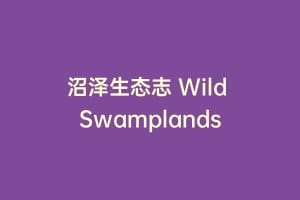 沼泽生态志 Wild Swamplands