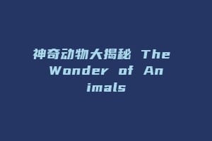 神奇动物大揭秘 The Wonder of Animals