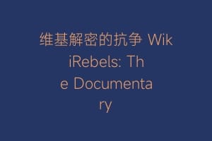 维基解密的抗争 WikiRebels: The Documentary