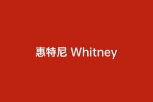 惠特尼 Whitney