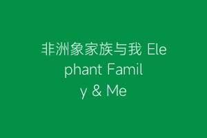 非洲象家族与我 Elephant Family & Me