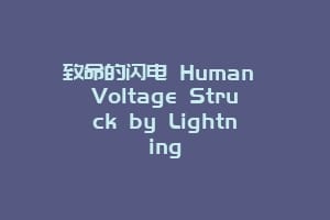致命的闪电 Human Voltage Struck by Lightning