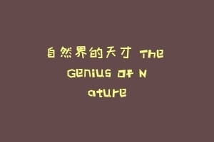 自然界的天才 The Genius Of Nature