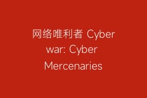 网络唯利者 Cyberwar: Cyber Mercenaries