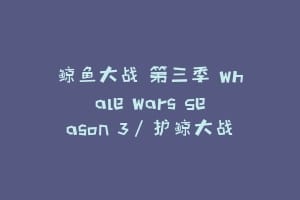 鲸鱼大战 第三季 Whale Wars Season 3/护鲸大战