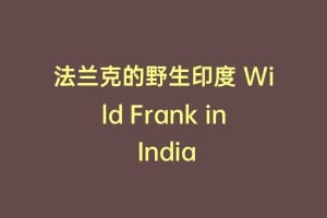 法兰克的野生印度 Wild Frank in India
