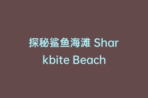 探秘鲨鱼海滩 Sharkbite Beach缩略图 探秘鲨鱼海滩 Sharkbite Beach
