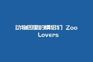 动物园里的情侣们 Zoo Lovers插图 动物园里的情侣们 Zoo Lovers
