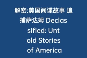 解密:美国间谍故事 追捕萨达姆 Declassified: Untold Stories of American Spies缩略图 解密:美国间谍故事 追捕萨达姆 Declassified: Untold Stories of American Spies