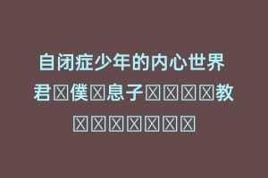自闭症少年的内心世界 君が僕の息子について教えてくれたこと