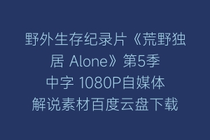 野外生存纪录片《荒野独居 Alone》第5季中字 1080P自媒体解说素材百度云盘下载