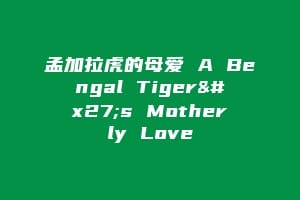 孟加拉虎的母爱 A Bengal Tiger's Motherly Love