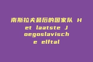 南斯拉夫最后的国家队 Het laatste Joegoslavische elftal插图 南斯拉夫最后的国家队 Het laatste Joegoslavische elftal