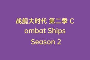 战舰大时代 第二季 Combat Ships Season 2