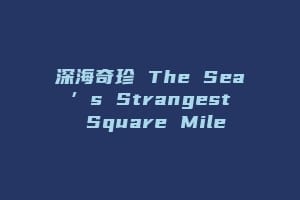 深海奇珍 The Sea’s Strangest Square Mile