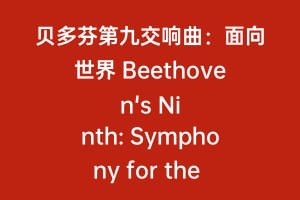 贝多芬第九交响曲:面向世界 Beethoven's Ninth: Symphony for the world缩略图 贝多芬第九交响曲:面向世界 Beethoven's Ninth: Symphony for the world