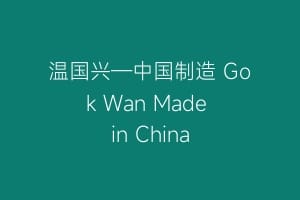 温国兴—中国制造 Gok Wan Made in China缩略图 温国兴—中国制造 Gok Wan Made in China