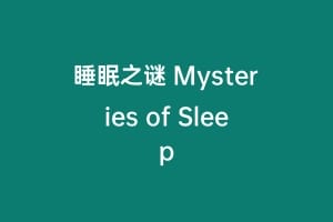 睡眠之谜 Mysteries of Sleep