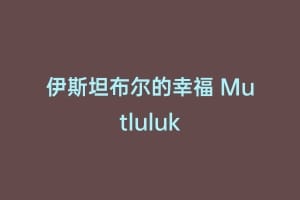伊斯坦布尔的幸福 Mutluluk缩略图 伊斯坦布尔的幸福 Mutluluk