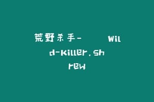 荒野杀手-鼩鼱 Wild-Killer.Shrew