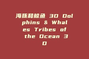 海豚和鲸鱼 3D Dolphins & Whales Tribes of the Ocean 3D插图 海豚和鲸鱼 3D Dolphins & Whales Tribes of the Ocean 3D