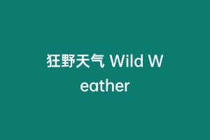 狂野天气 Wild Weather
