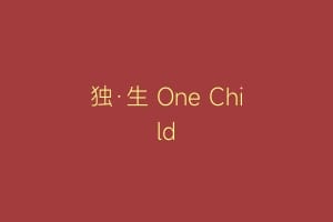 独·生 One Child