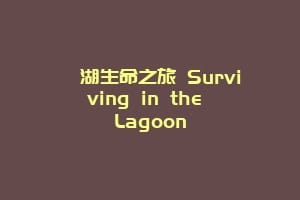 潟湖生命之旅 Surviving in the Lagoon缩略图 潟湖生命之旅 Surviving in the Lagoon