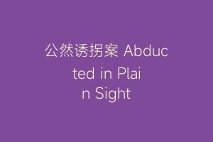 公然诱拐案 Abducted in Plain Sight
