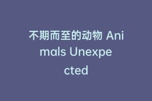 不期而至的动物 Animals Unexpected缩略图 不期而至的动物 Animals Unexpected
