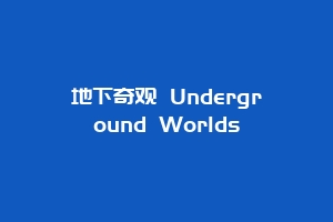 地下奇观 Underground Worlds