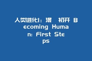 人类进化1：混沌初开 Becoming Human: First Steps