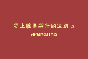 肾上腺素飙升的运动 Adrenalina