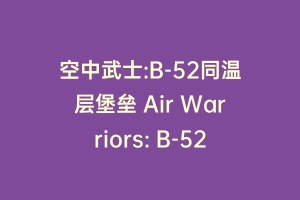 空中武士:B-52同温层堡垒 Air Warriors: B-52