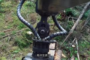 [美国伐木工 American Loggers][第2季共10集][纪录片][英语中字]1080P下载