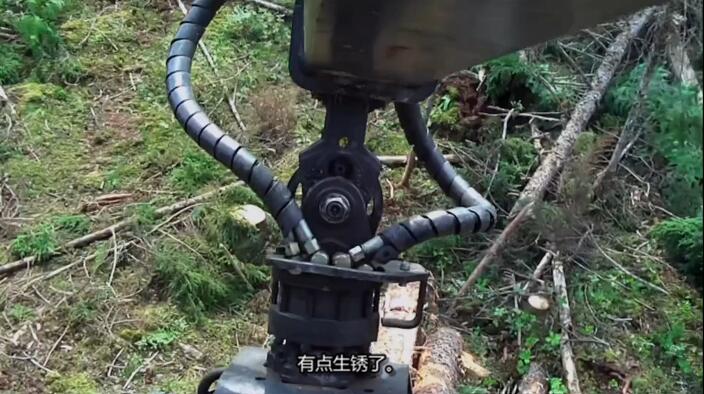 [美国伐木工 American Loggers][第3季共10集][纪录片][英语中字]1080P下载