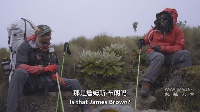 从孟菲斯到攀登巅峰 Memphis to the Mountain插图4