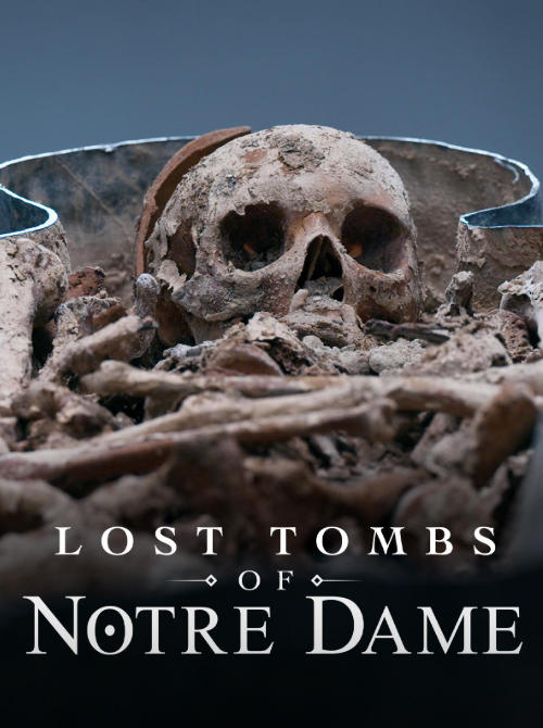 巴黎圣母院失落的坟墓 Lost Tombs of Notre Dame插图