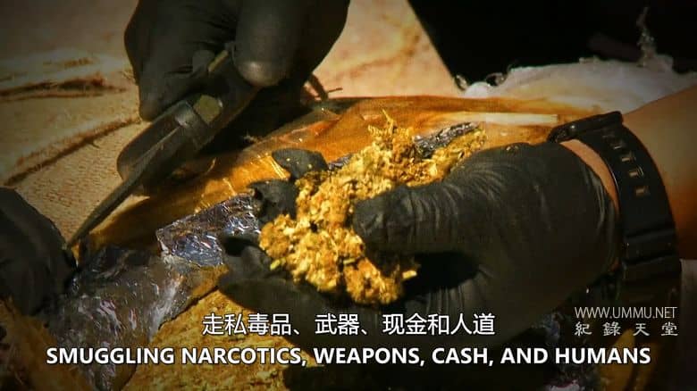 边境法规 Law on the Border插图3