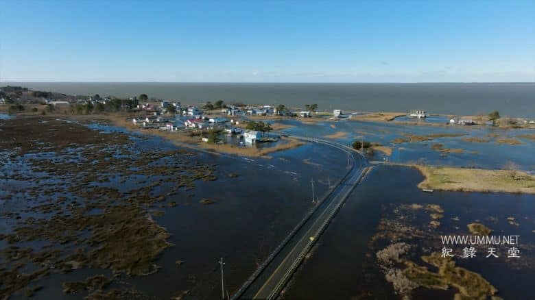 逆流而上：东海岸的生活 Against the Current: Life on the Eastern Shore插图1