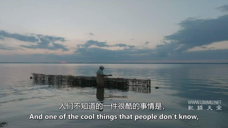 逆流而上：东海岸的生活 Against the Current: Life on the Eastern Shore插图2