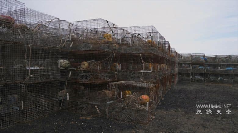 逆流而上：东海岸的生活 Against the Current: Life on the Eastern Shore插图3