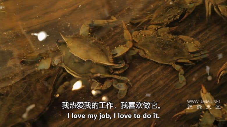 逆流而上：东海岸的生活 Against the Current: Life on the Eastern Shore插图4