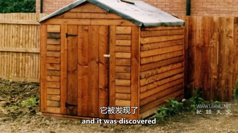 死无对证 Killed Without A Trace插图3