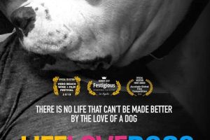 爱狗生活 Life Love Dogs