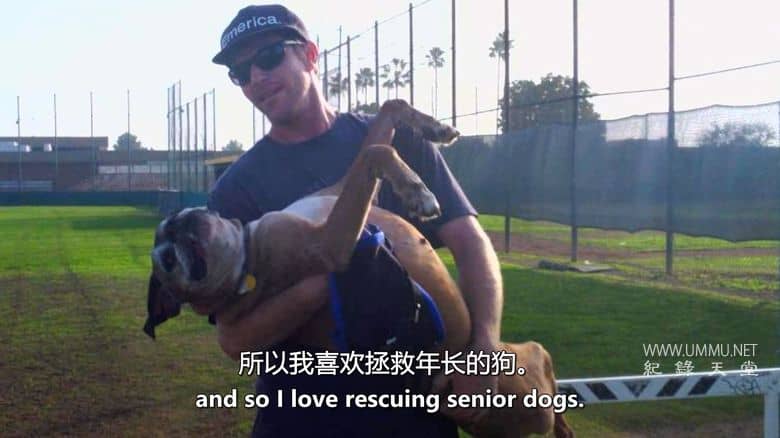 爱狗生活 Life Love Dogs插图1