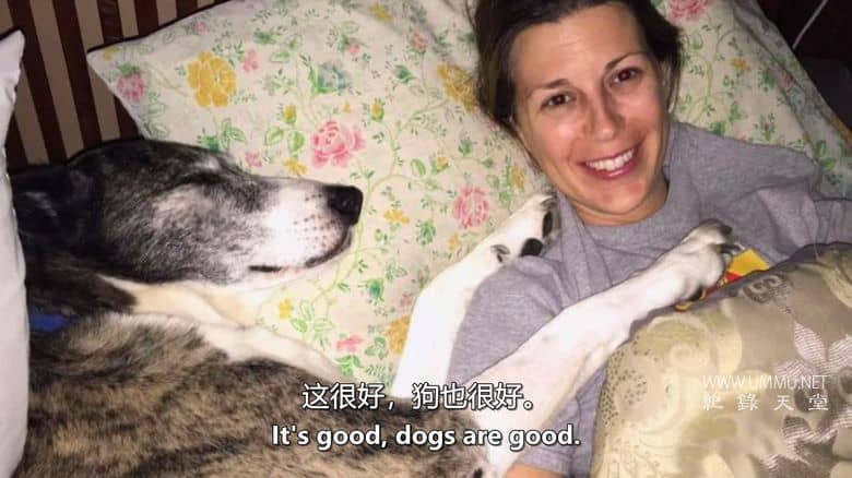 爱狗生活 Life Love Dogs插图2